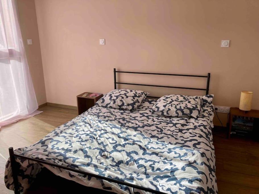 앙제 Quai Sud - Gare, 100 M2, Parking, Wifi, Superette, Lave Linge 아파트 외부 사진