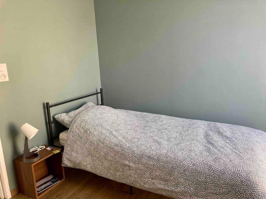 앙제 Quai Sud - Gare, 100 M2, Parking, Wifi, Superette, Lave Linge 아파트 외부 사진
